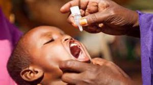polio2-e