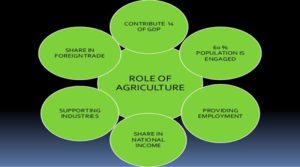 Agriculture