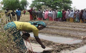Women farmers